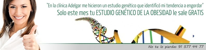 Estudio genético de la obesidad