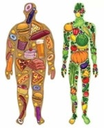 aperitivos_saludables aperitivos_saludables